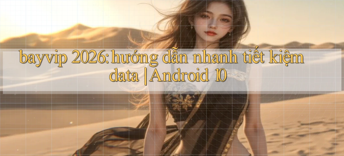 bayvip 2026 hướng dẫn nhanh tiết kiệm data Android 10