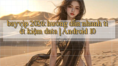 bayvip 2026 hướng dẫn nhanh tiết kiệm data Android 10