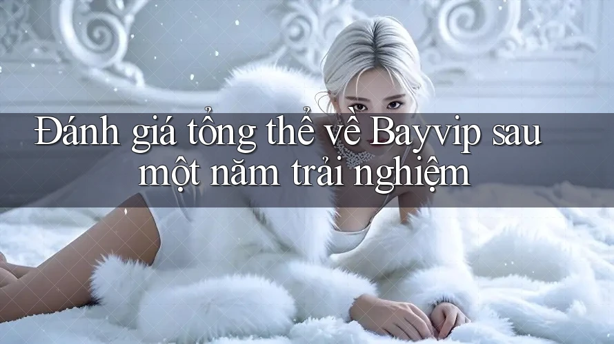 Đánh giá tổng thể về Bayvip sau một năm trải nghiệm Đánh giá tổng thể về Bayvip sau một năm trải nghiệm