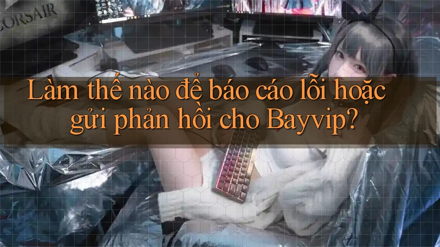 Làm thế nào để báo cáo lỗi hoặc gửi phản hồi cho Bayvip?